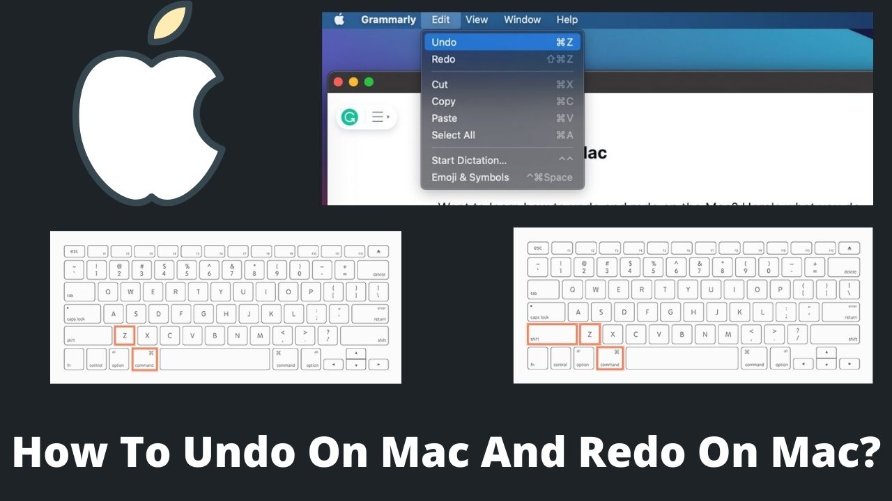 Read more about the article How To Undo On Mac And Redo On Mac?