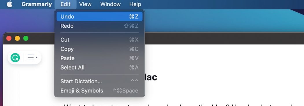 How to undo on Mac via Menu