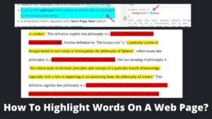 Read more about the article How To Highlight Words On A Web Page?