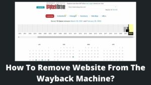 Read more about the article How To Remove Website From The Wayback Machine?