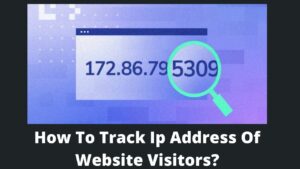 Read more about the article How To Track IP Address Of Website Visitors?
