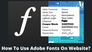 Read more about the article How To Use Adobe Fonts On Website? Step By Step Guide