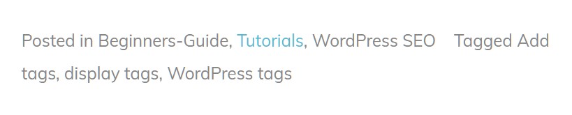 how to add tags on WordPress