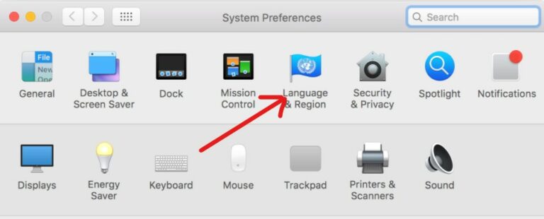 How To Change Website Language? - BasicWebGuide