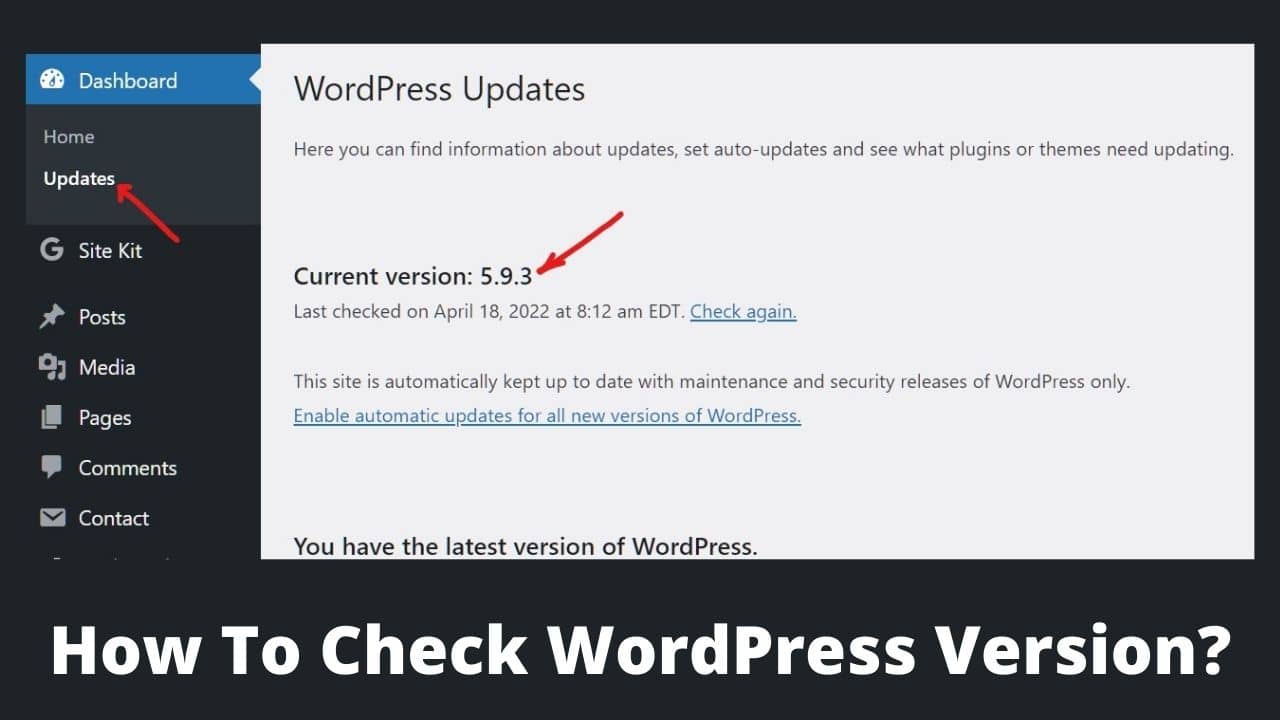 Read more about the article How To Check WordPress Version? 7 Best Methods