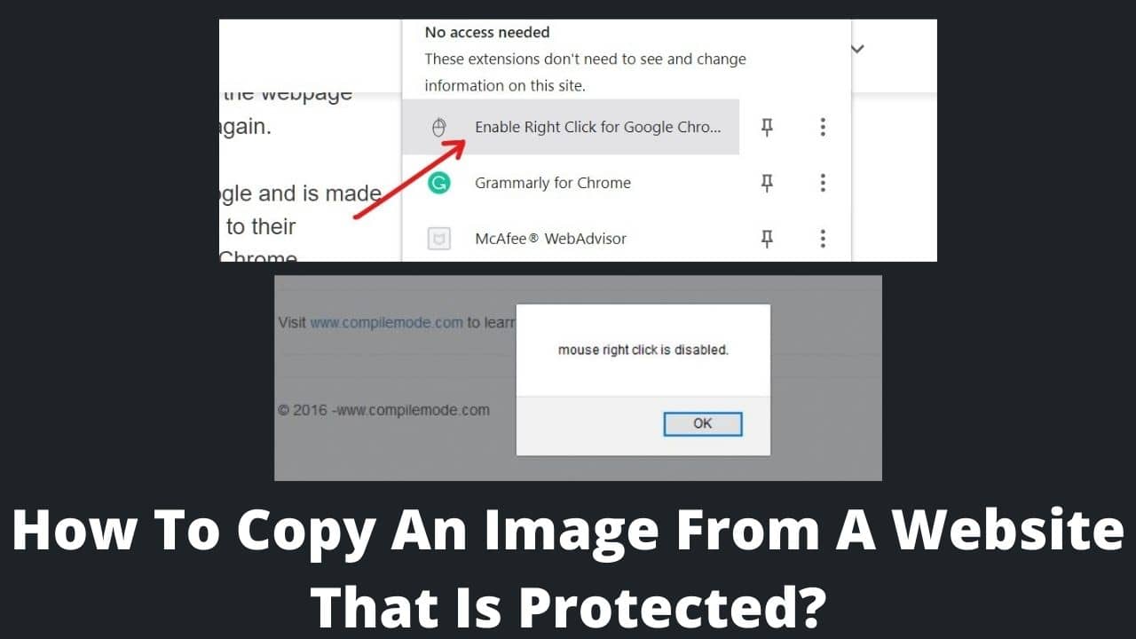 Read more about the article How To Copy An Image From A Website That Is Protected?