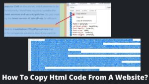 Read more about the article How To Copy HTML Code From A Website?