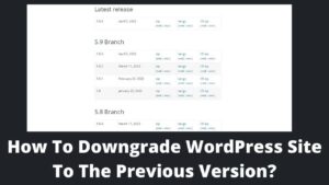 Read more about the article How To Downgrade WordPress Site To The Previous Version?