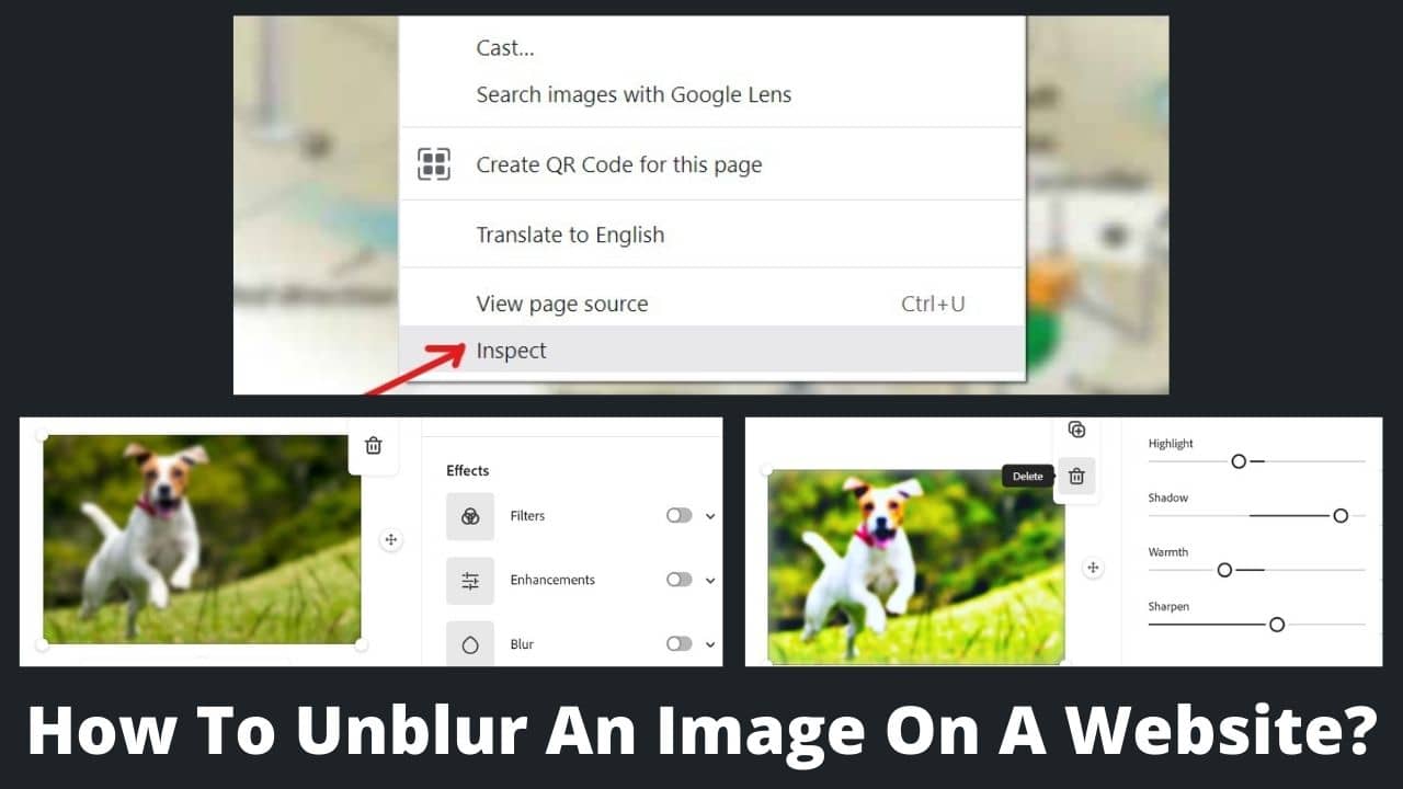 Read more about the article How To Unblur An Image On A Website?