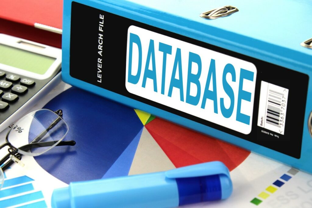 What Is The Difference Between A Database And A site? BasicGuide