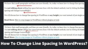 Read more about the article How To Change Line Spacing In WordPress? 3 Best Ways