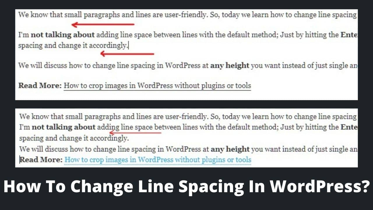 Read more about the article How To Change Line Spacing In WordPress? 3 Best Ways