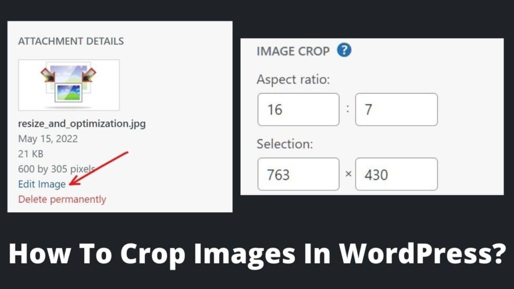 How To Crop Images In WordPress