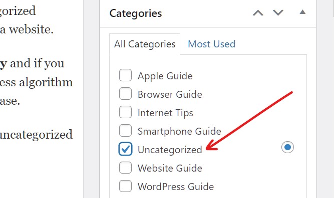 How To Remove Uncategorized Category In WordPress