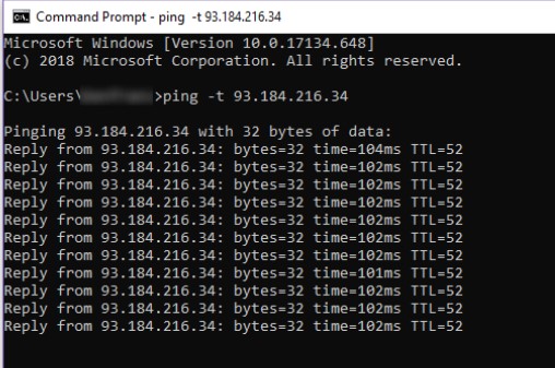 ping website using cmd in linux