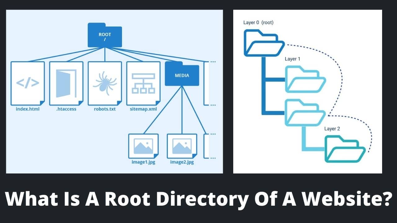 Read more about the article What Is A Root Directory Of A Website?