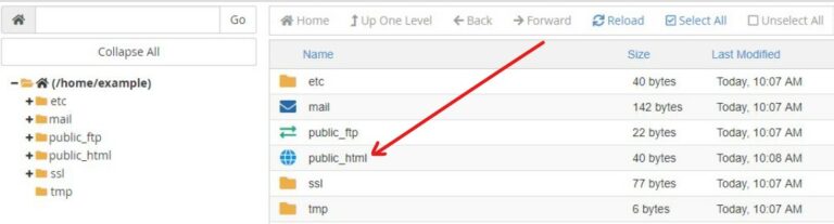 What Is A Root Directory Of A Website? - BasicWebGuide